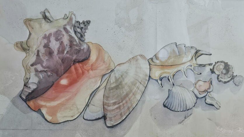 The Beautiful Outershells