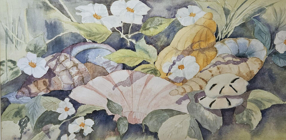 Seashells and Flowers