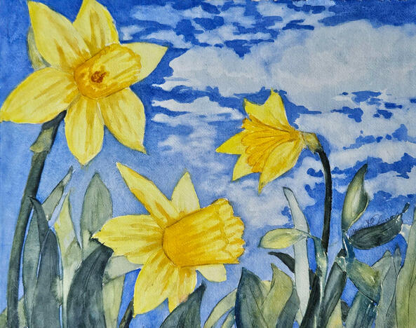 Daffodils