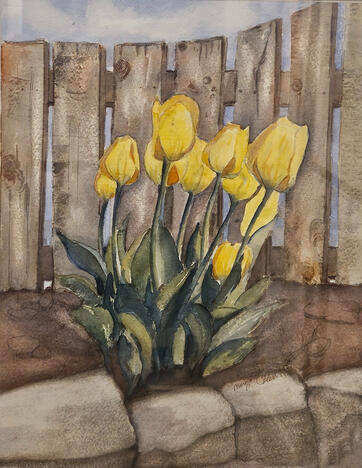 Tulips by the Back Fence