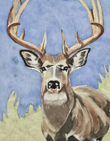 On Top of the Mountain